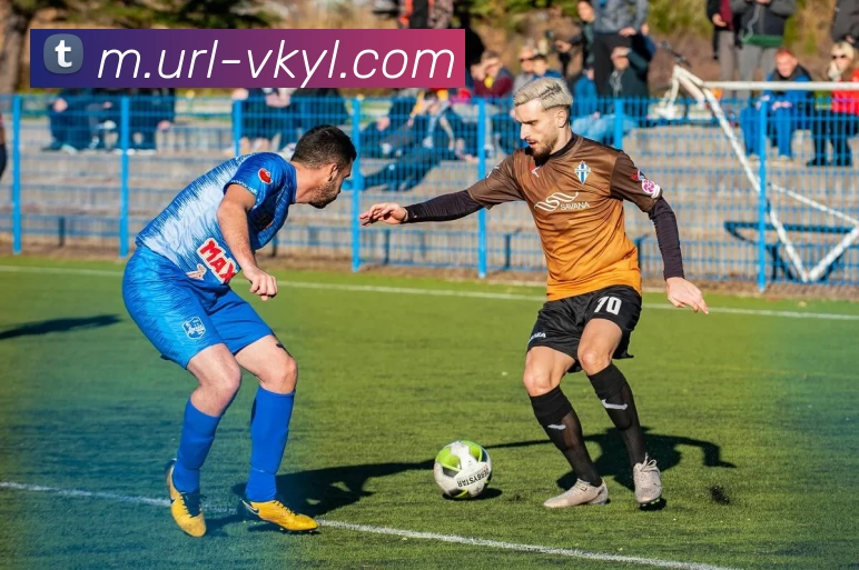 威客电竞平台生态图